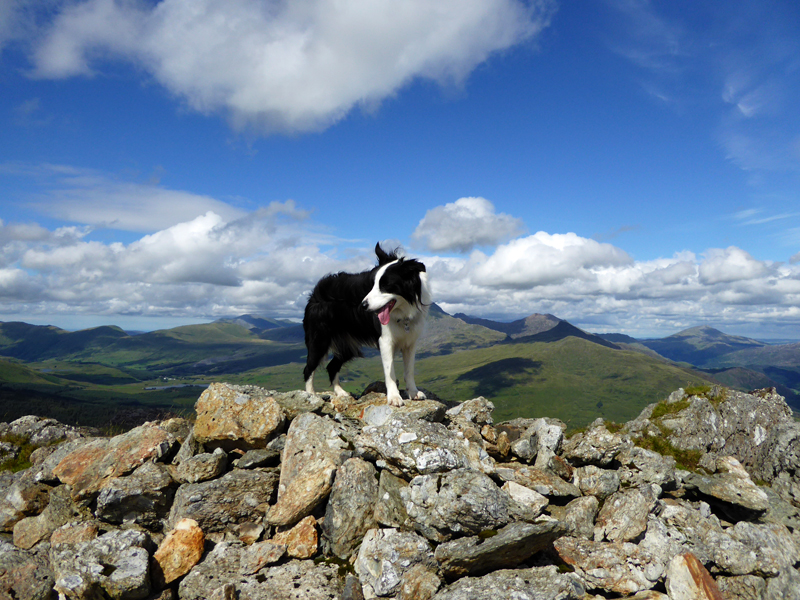 Moel Yr Ogof Summit